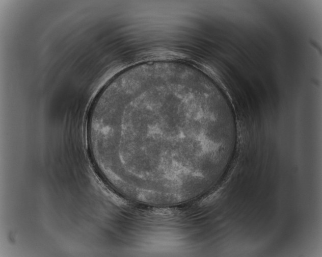 X0000100470843200807031825