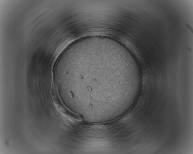 X0000100470844200807031825