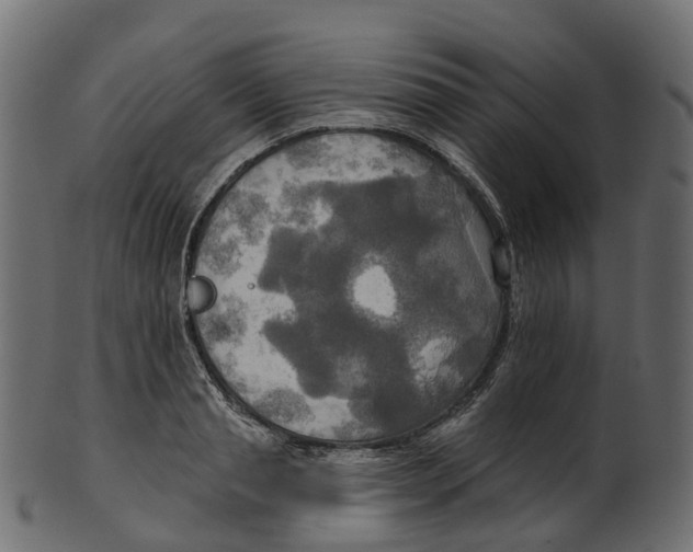 X0000100470845200807031825