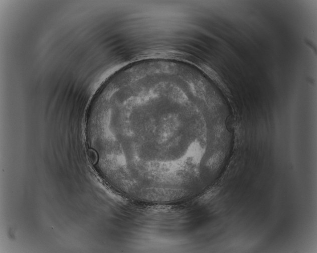 X0000100470846200807031826