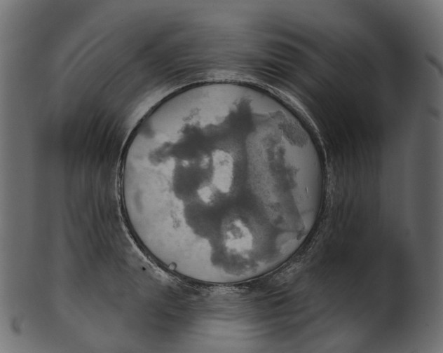 X0000100470847200807031826