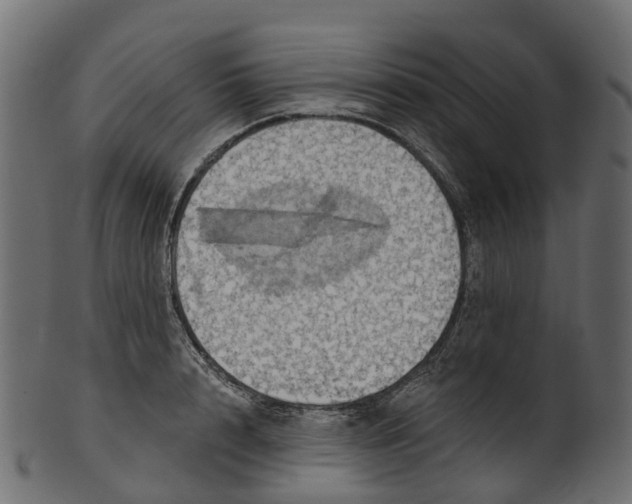 X0000100470848200807031826