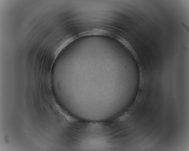 X0000100470850200807031826