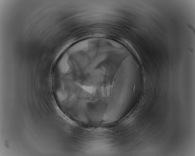 X0000100470851200807031826