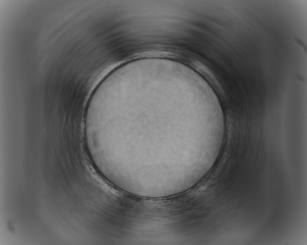 X0000100470852200807031826