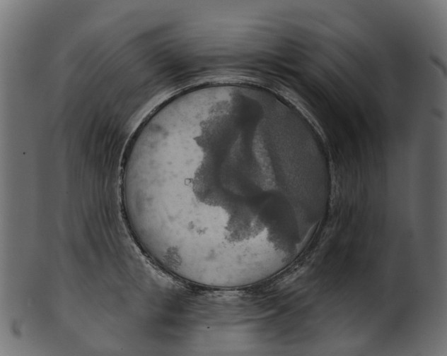 X0000100470853200807031826