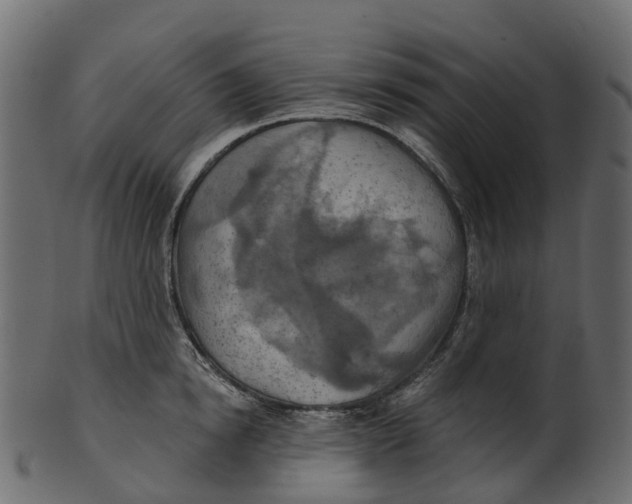 X0000100470854200807031826