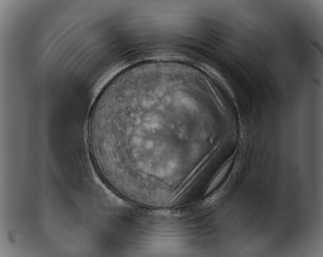 X0000100470855200807031826