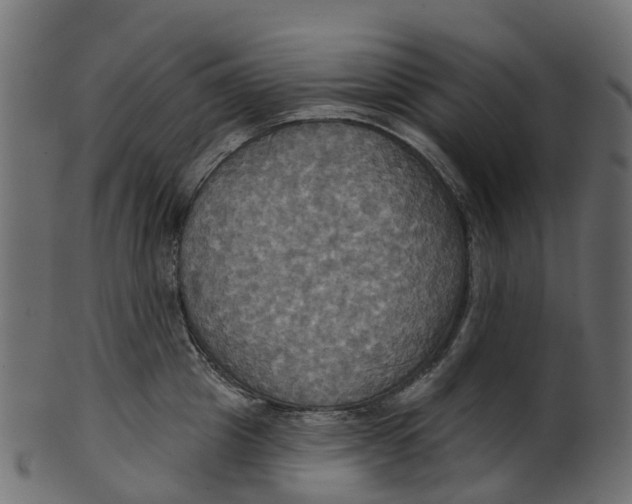 X0000100470857200807031826