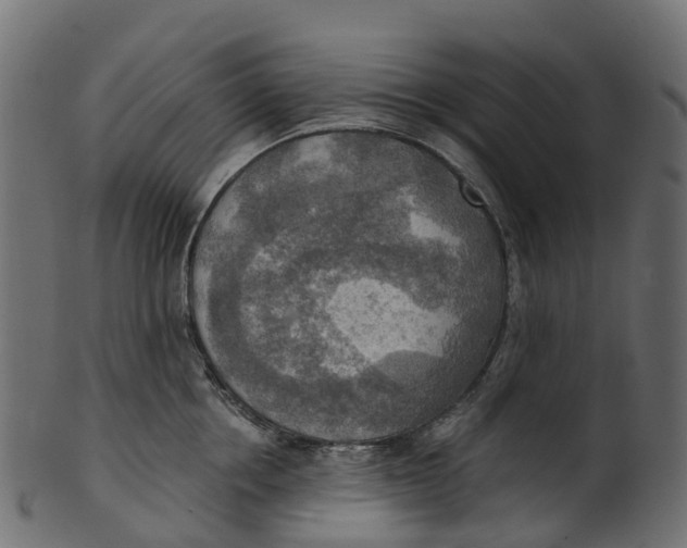 X0000100470858200807031826