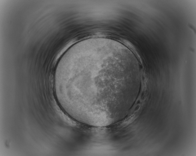 X0000100470859200807031826