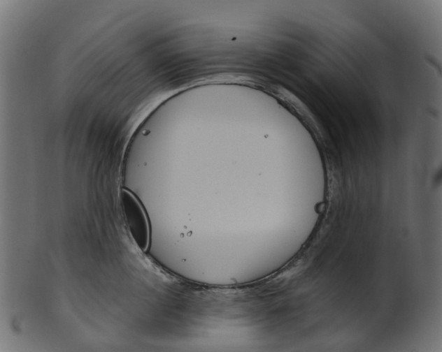 X0000100470860200807031826