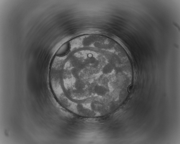 X0000100470861200807031826