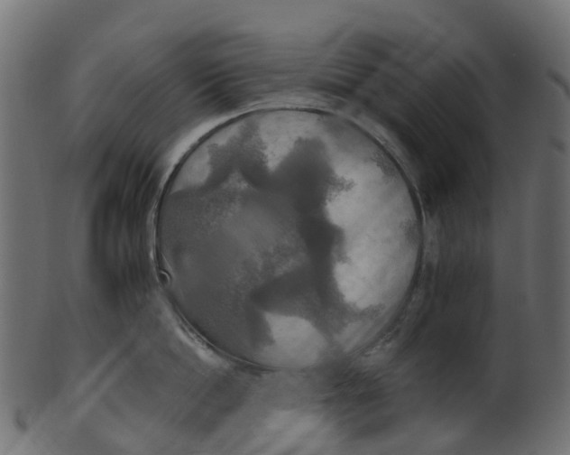 X0000100470862200807031826