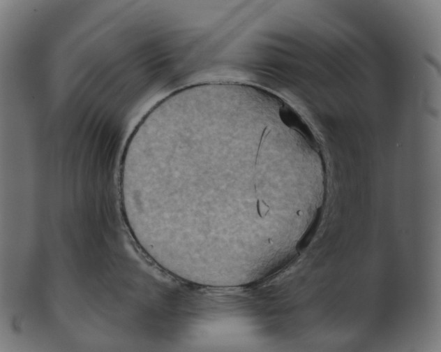 X0000100470864200807031826