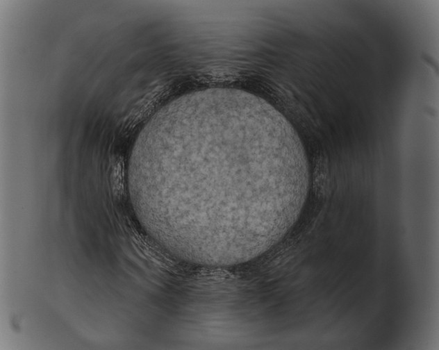 X0000100470866200807031825