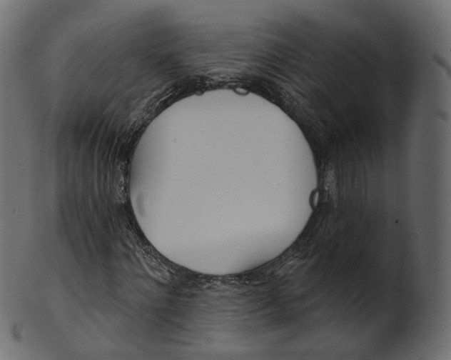 X0000100470868200807031825