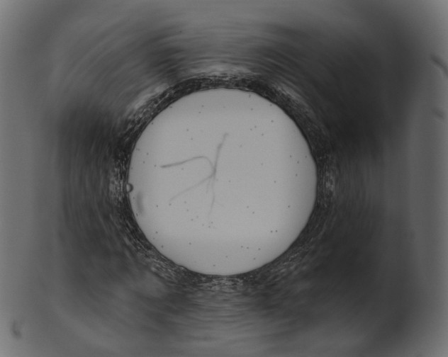 X0000100470869200807031825