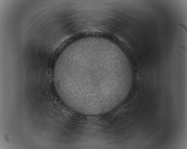 X0000100470870200807031825