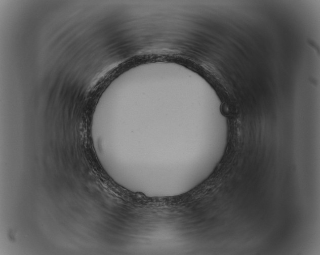 X0000100470872200807031825