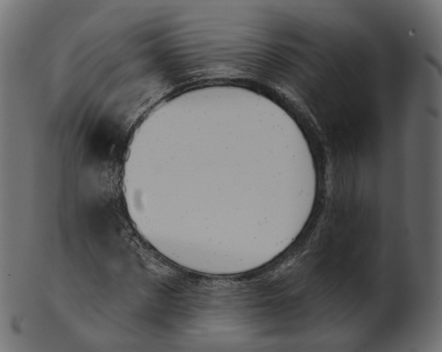 X0000100470873200807031825