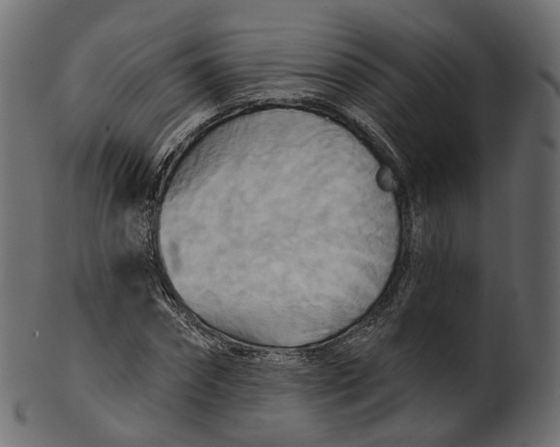 X0000100470874200807031825