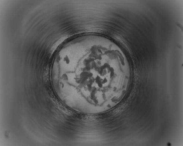 X0000100470875200807031825