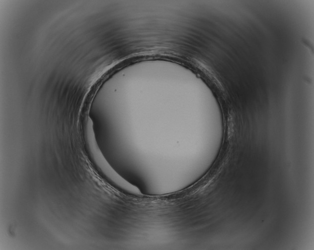 X0000100470876200807031825