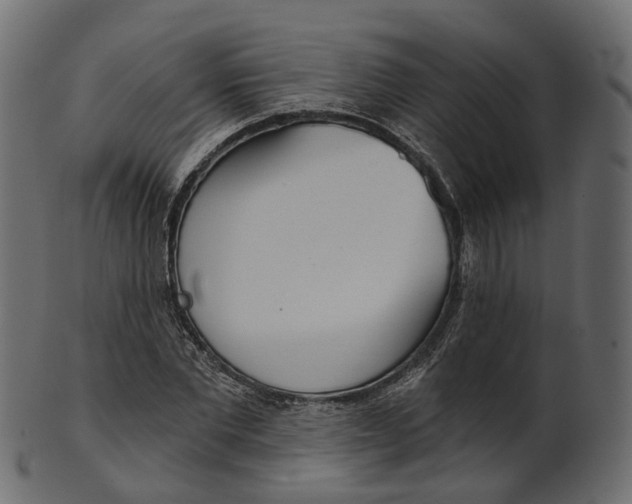 X0000100470877200807031825