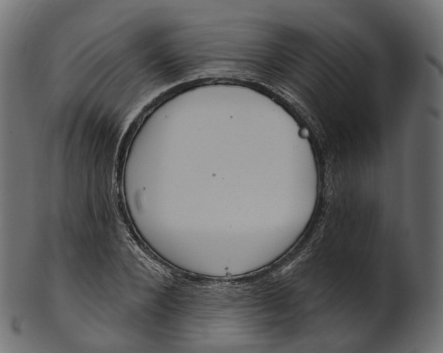 X0000100470880200807031825