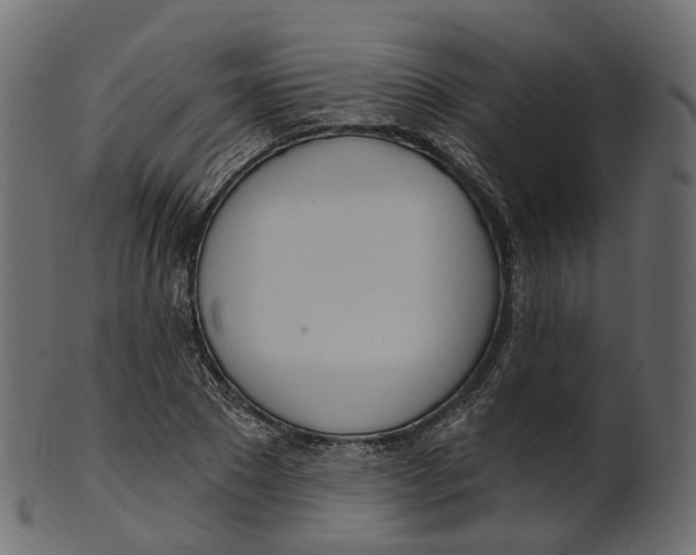 X0000100470881200807031825