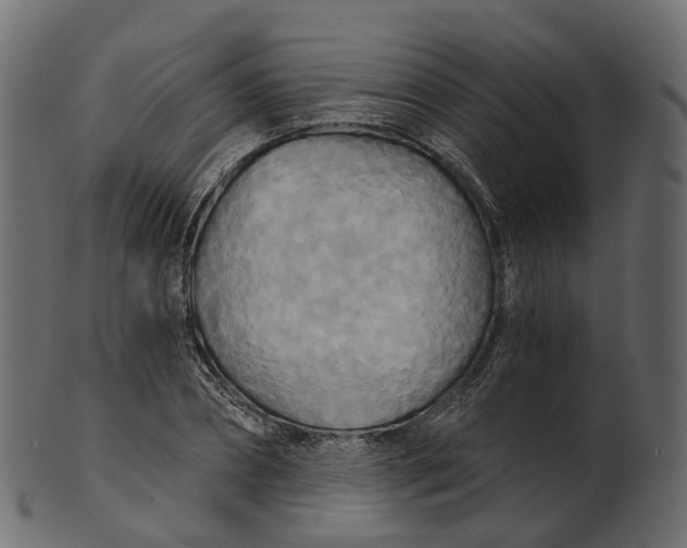 X0000100470882200807031825