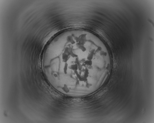 X0000100470883200807031825