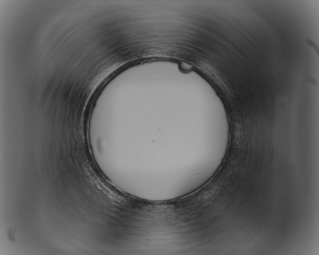 X0000100470884200807031825