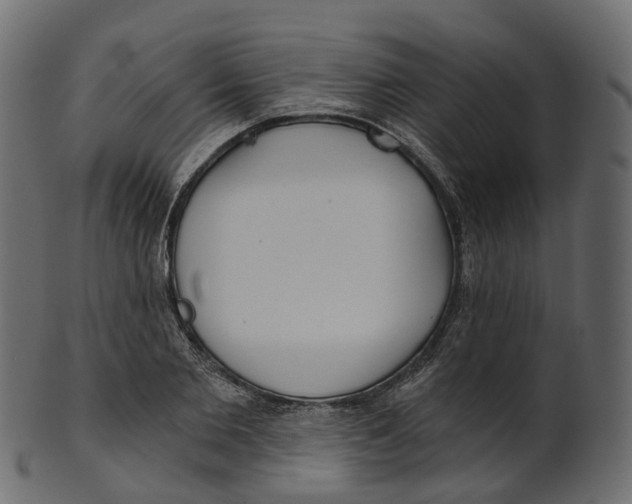 X0000100470885200807031825