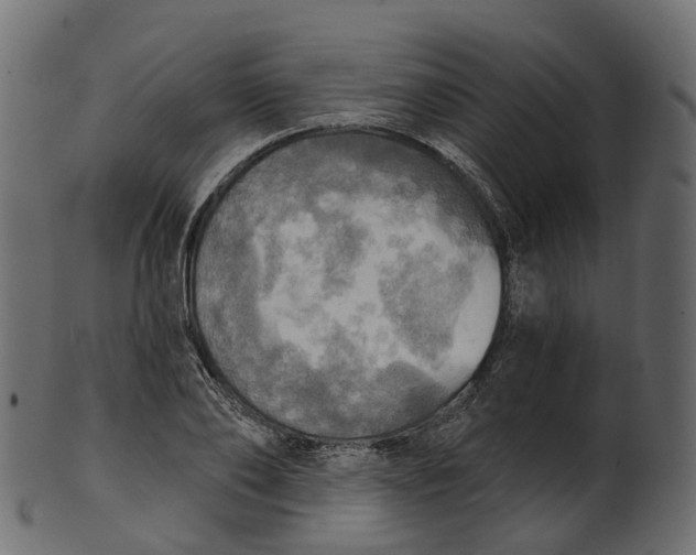 X0000100470886200807031825