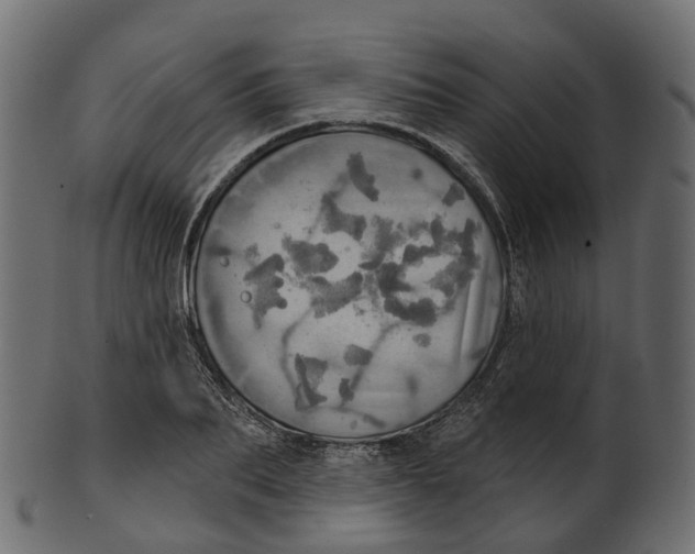 X0000100470887200807031825