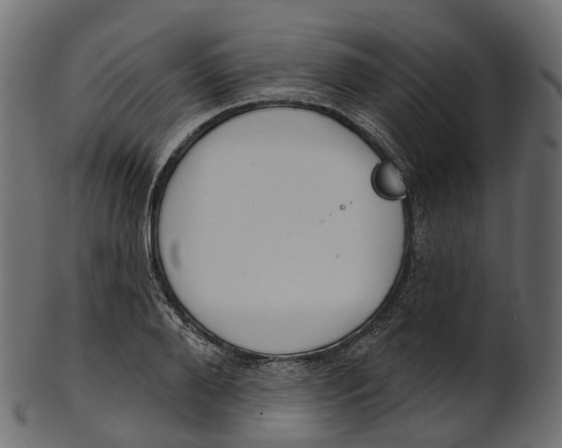 X0000100470888200807031825