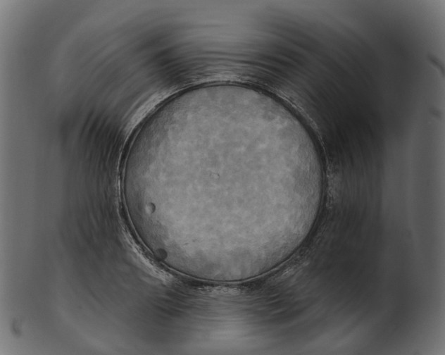 X0000100470890200807031825