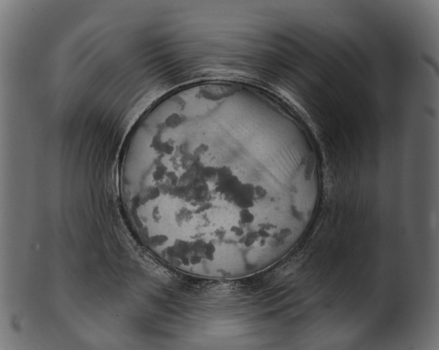 X0000100470891200807031825