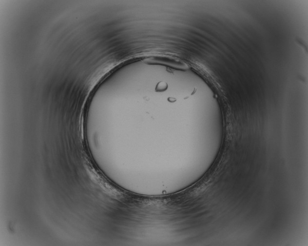 X0000100470892200807031825