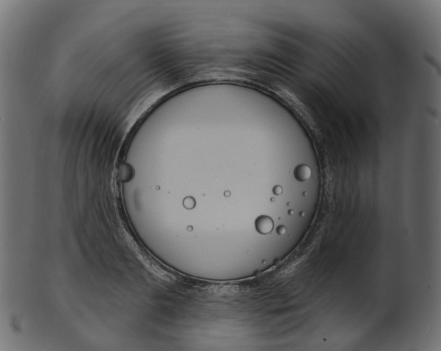 X0000100470893200807031825