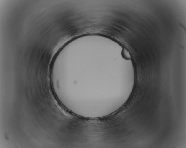 X0000100470894200807031825