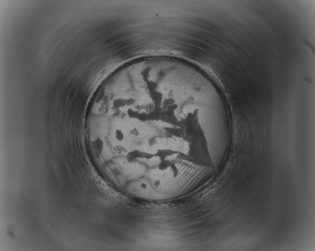 X0000100470895200807031825