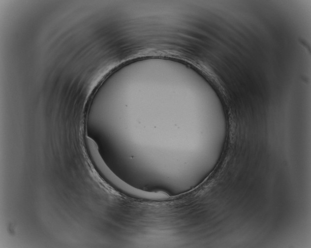 X0000100470896200807031825