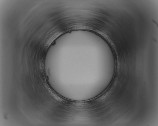 X0000100470897200807031825