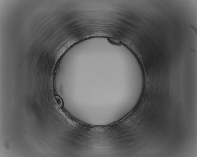 X0000100470898200807031825