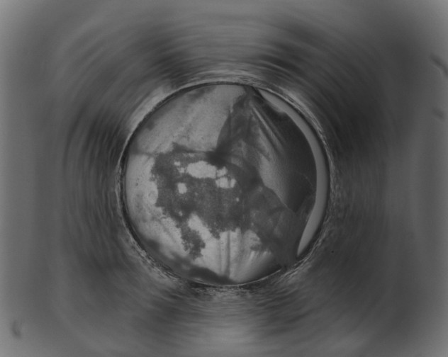 X0000100470899200807031825