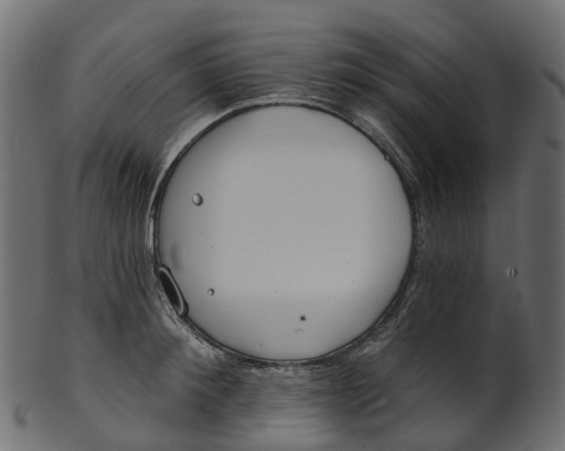 X0000100470900200807031825