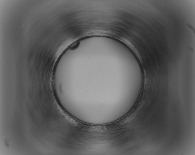 X0000100470901200807031825